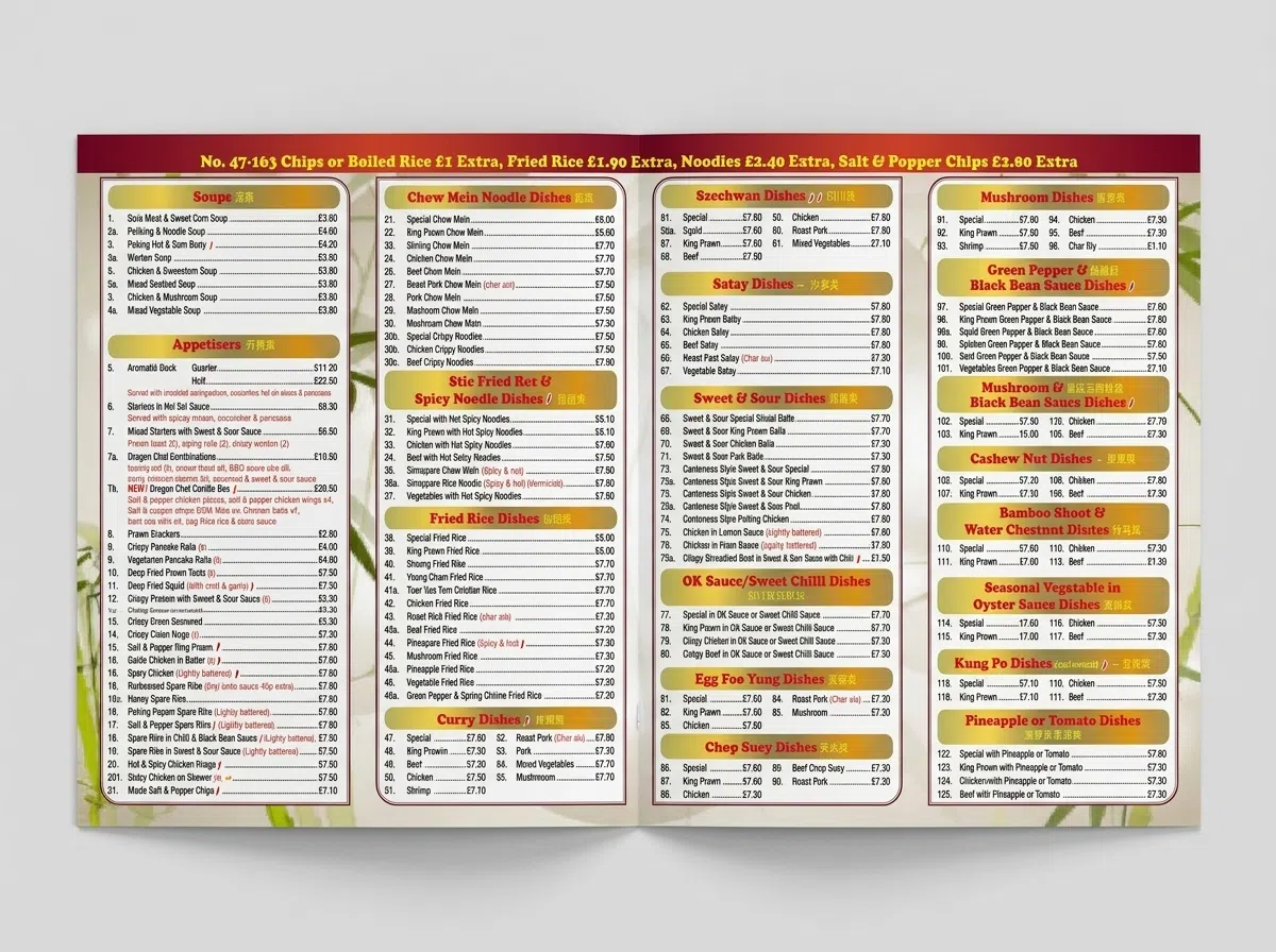 Dragon Chef BD10 396x210mm A4 Ext Menu 2nd proof back side 4 fold